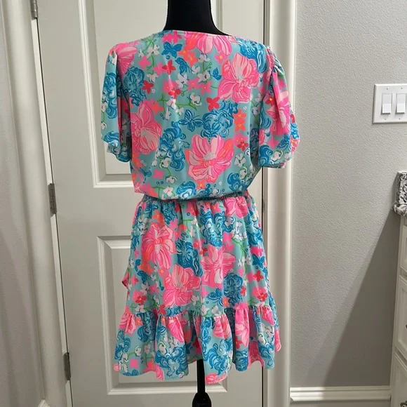 Like New Lilly Pulitzer Cristiana Stretch Dress - Picture 7 of 9